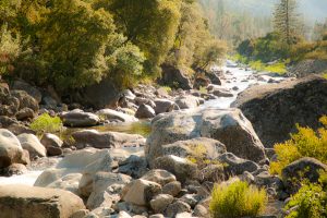 Water stream at Yosemite